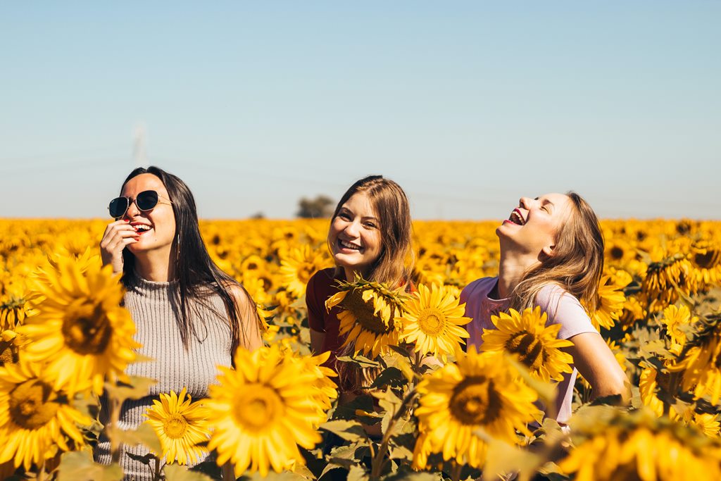 three beautiful women smiling and laughing in a field of brightly blooming sunflowers